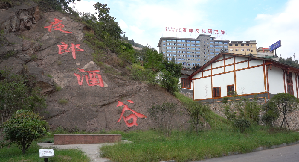 夜郎古项目案例（酒冷却器、酒厂节能减排系统）